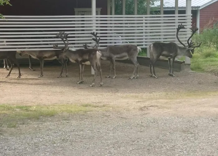 Aurora Gateway N4 וילה *